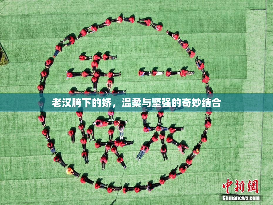 老汉胯下的娇，温柔与坚强的奇妙结合