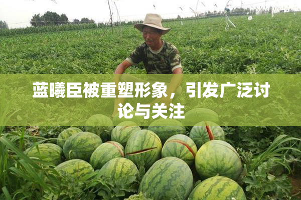 蓝曦臣被重塑形象，引发广泛讨论与关注