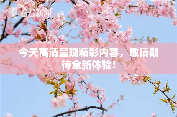 今天高清呈现精彩内容，敬请期待全新体验！