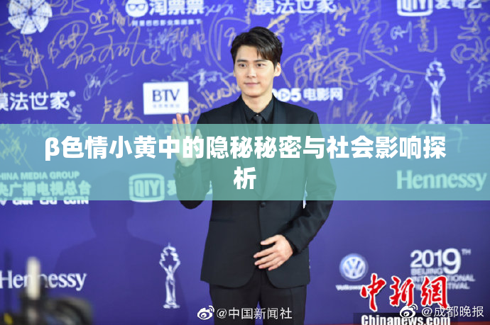 β色情小黄中的隐秘秘密与社会影响探析