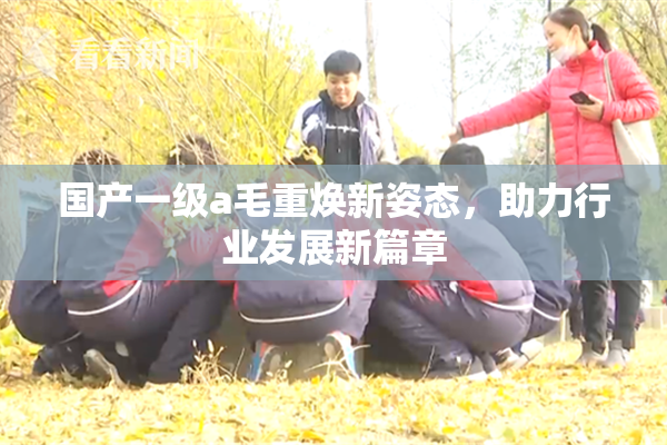 国产一级a毛重焕新姿态，助力行业发展新篇章
