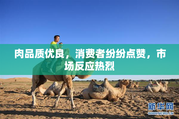肉品质优良，消费者纷纷点赞，市场反应热烈
