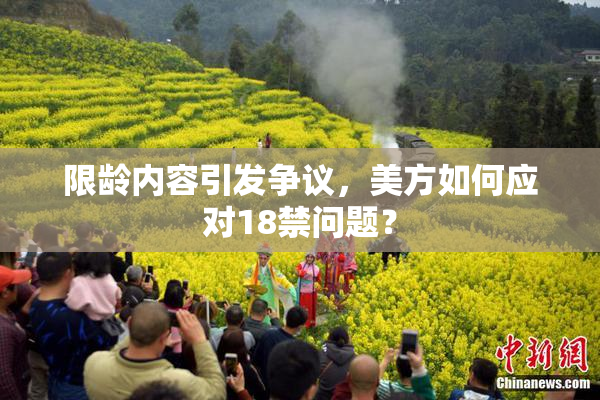 限龄内容引发争议，美方如何应对18禁问题？