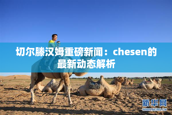 切尔滕汉姆重磅新闻：chesen的最新动态解析