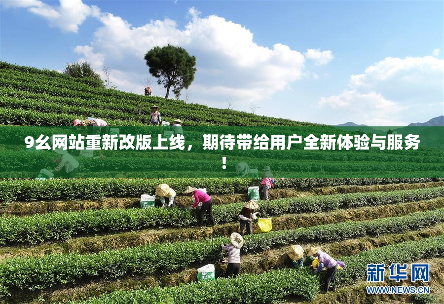 9幺网站重新改版上线，期待带给用户全新体验与服务！