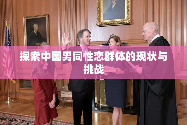 探索中国男同性恋群体的现状与挑战