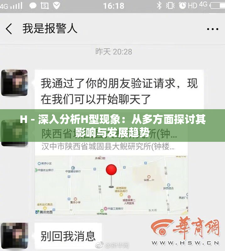 H - 深入分析H型现象：从多方面探讨其影响与发展趋势