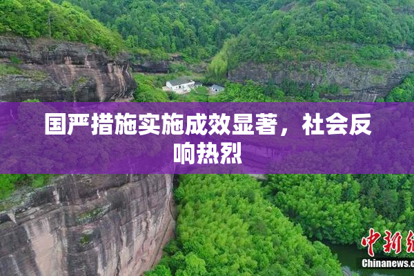 国严措施实施成效显著，社会反响热烈