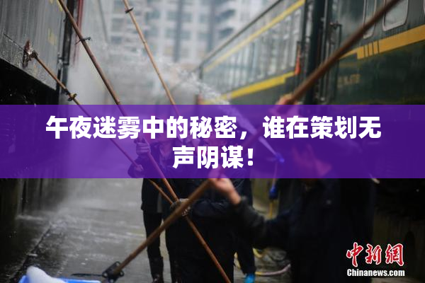 午夜迷雾中的秘密，谁在策划无声阴谋！