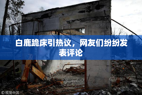 白鹿跪床引热议，网友们纷纷发表评论