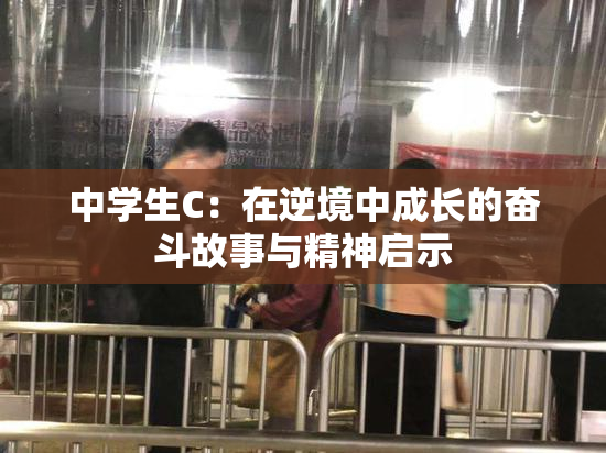 中学生C：在逆境中成长的奋斗故事与精神启示