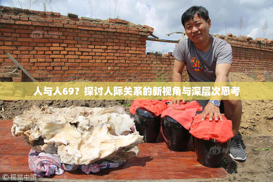 人与人69？探讨人际关系的新视角与深层次思考