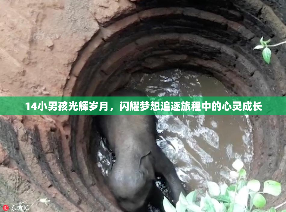 14小男孩光辉岁月，闪耀梦想追逐旅程中的心灵成长
