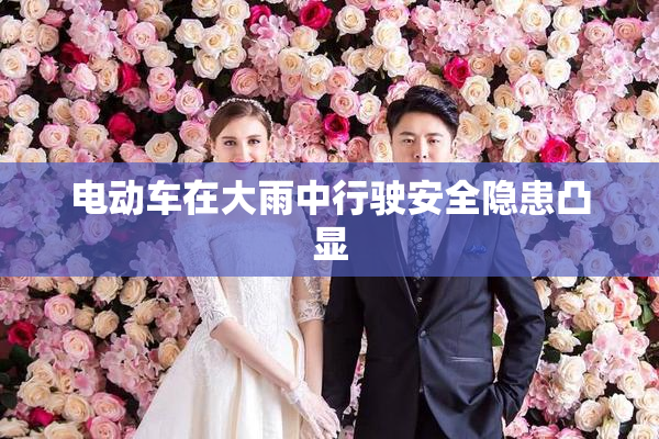 电动车在大雨中行驶安全隐患凸显