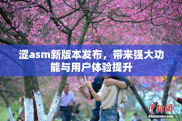 涩asm新版本发布，带来强大功能与用户体验提升