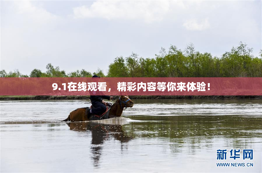 9.1在线观看，精彩内容等你来体验！