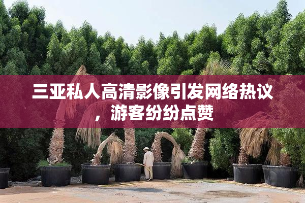 三亚私人高清影像引发网络热议，游客纷纷点赞
