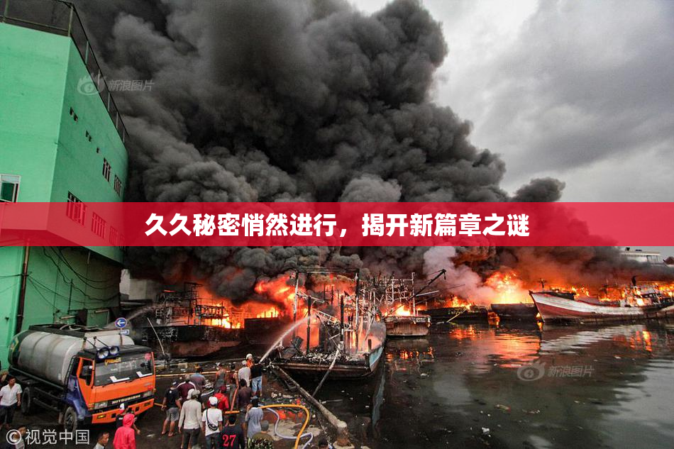 久久秘密悄然进行，揭开新篇章之谜