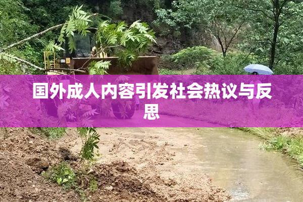 国外成人内容引发社会热议与反思