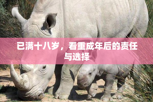 已满十八岁，看重成年后的责任与选择