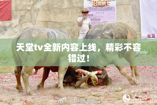 天堂tv全新内容上线，精彩不容错过！
