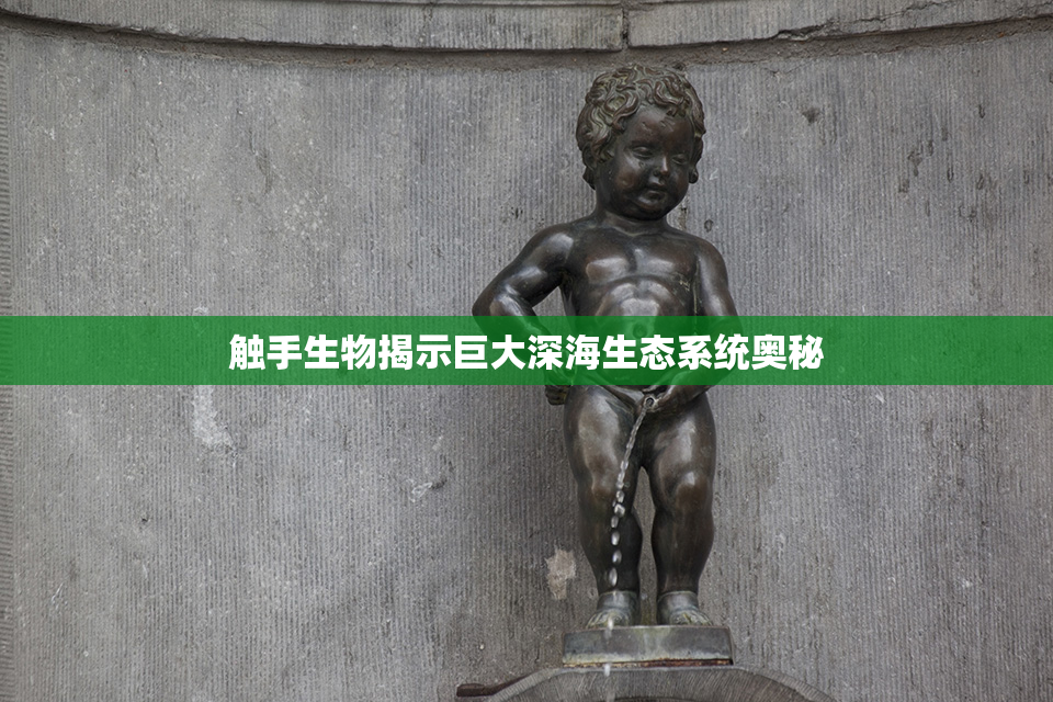 触手生物揭示巨大深海生态系统奥秘