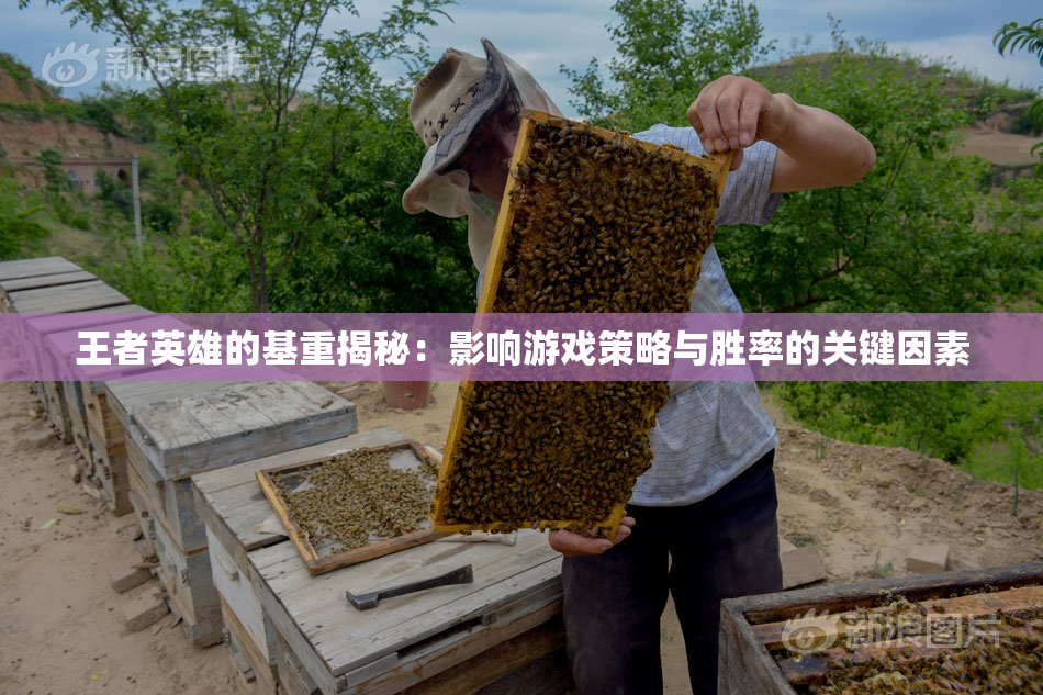 王者英雄的基重揭秘：影响游戏策略与胜率的关键因素