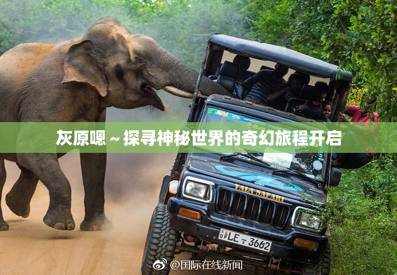 灰原嗯～探寻神秘世界的奇幻旅程开启