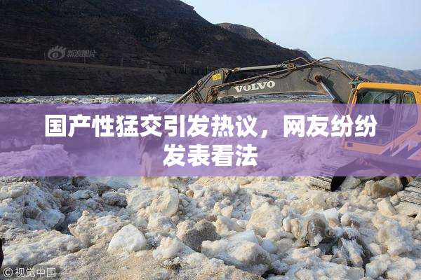 国产性猛交引发热议，网友纷纷发表看法