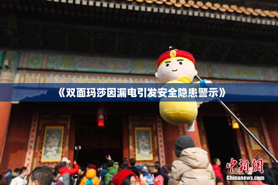 《双面玛莎因漏电引发安全隐患警示》