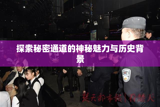 探索秘密通道的神秘魅力与历史背景