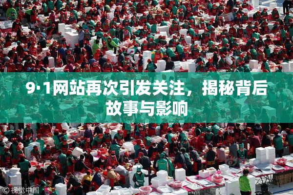 9·1网站再次引发关注，揭秘背后故事与影响