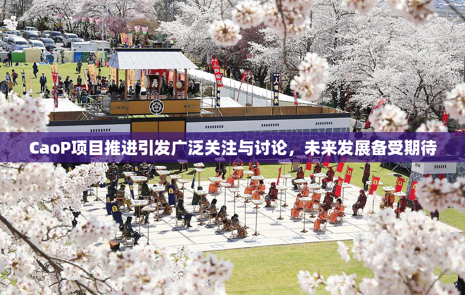 CaoP项目推进引发广泛关注与讨论，未来发展备受期待