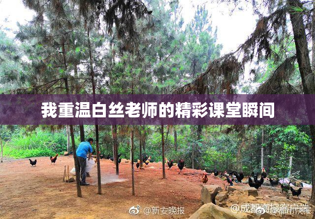 我重温白丝老师的精彩课堂瞬间