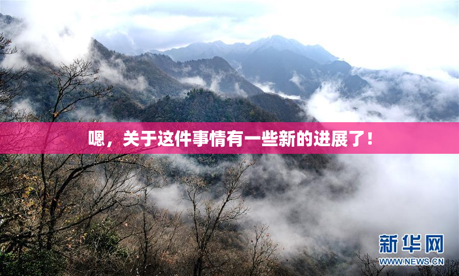 嗯，关于这件事情有一些新的进展了！