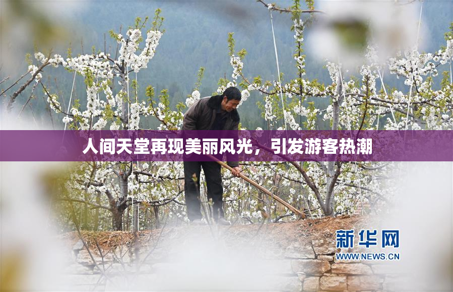 人间天堂再现美丽风光，引发游客热潮