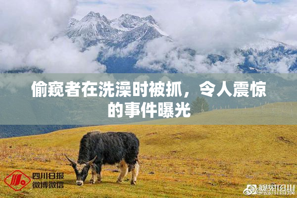 偷窥者在洗澡时被抓，令人震惊的事件曝光
