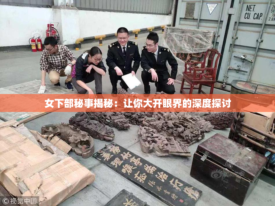 女下部秘事揭秘：让你大开眼界的深度探讨