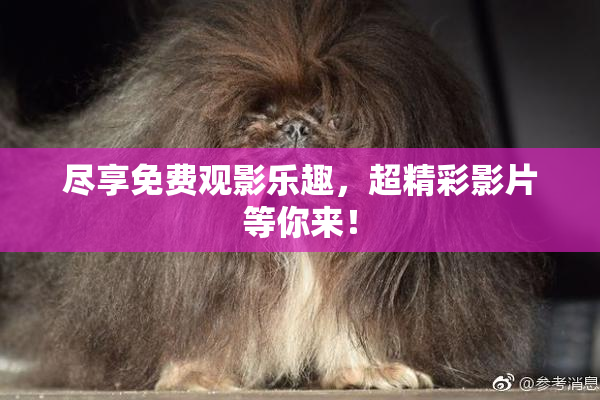 尽享免费观影乐趣，超精彩影片等你来！