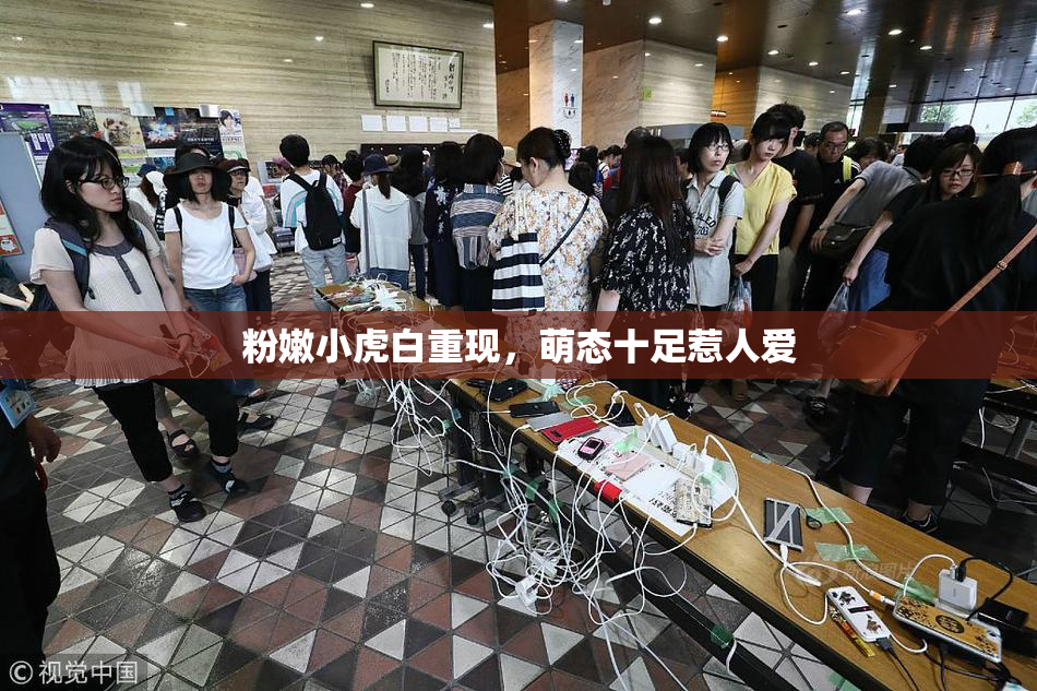 粉嫩小虎白重现，萌态十足惹人爱