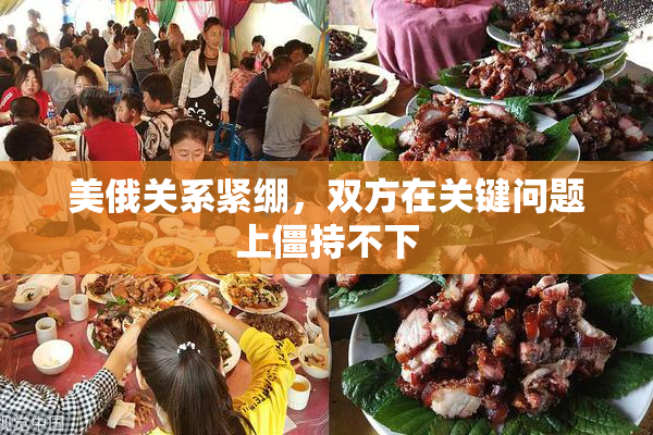 美俄关系紧绷，双方在关键问题上僵持不下