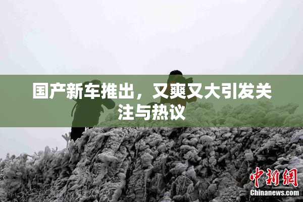 国产新车推出，又爽又大引发关注与热议