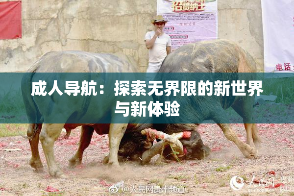 成人导航：探索无界限的新世界与新体验