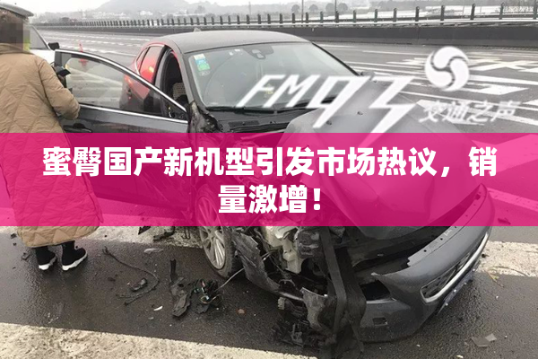 蜜臀国产新机型引发市场热议，销量激增！