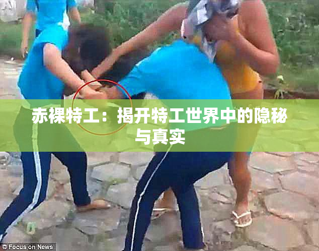 赤裸特工：揭开特工世界中的隐秘与真实