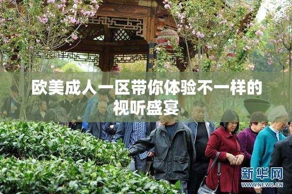 欧美成人一区带你体验不一样的视听盛宴