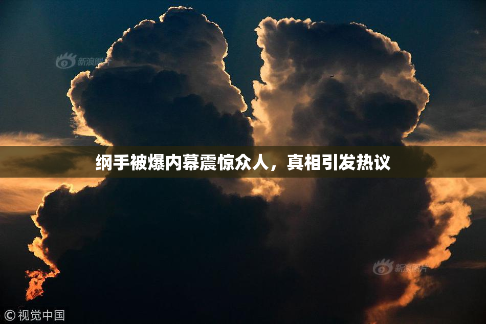 纲手被爆内幕震惊众人，真相引发热议
