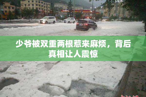 少爷被双重两根惹来麻烦，背后真相让人震惊
