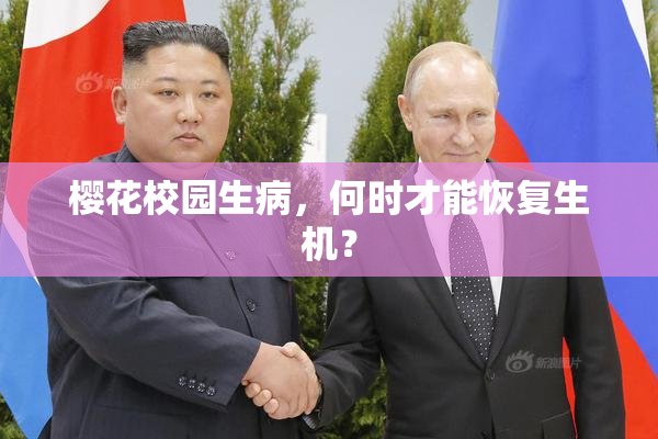 樱花校园生病，何时才能恢复生机？