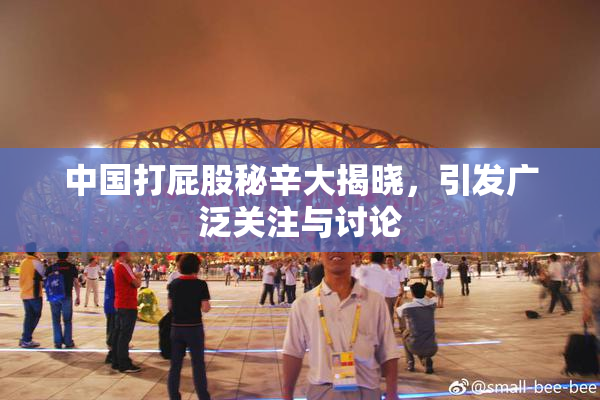 中国打屁股秘辛大揭晓，引发广泛关注与讨论